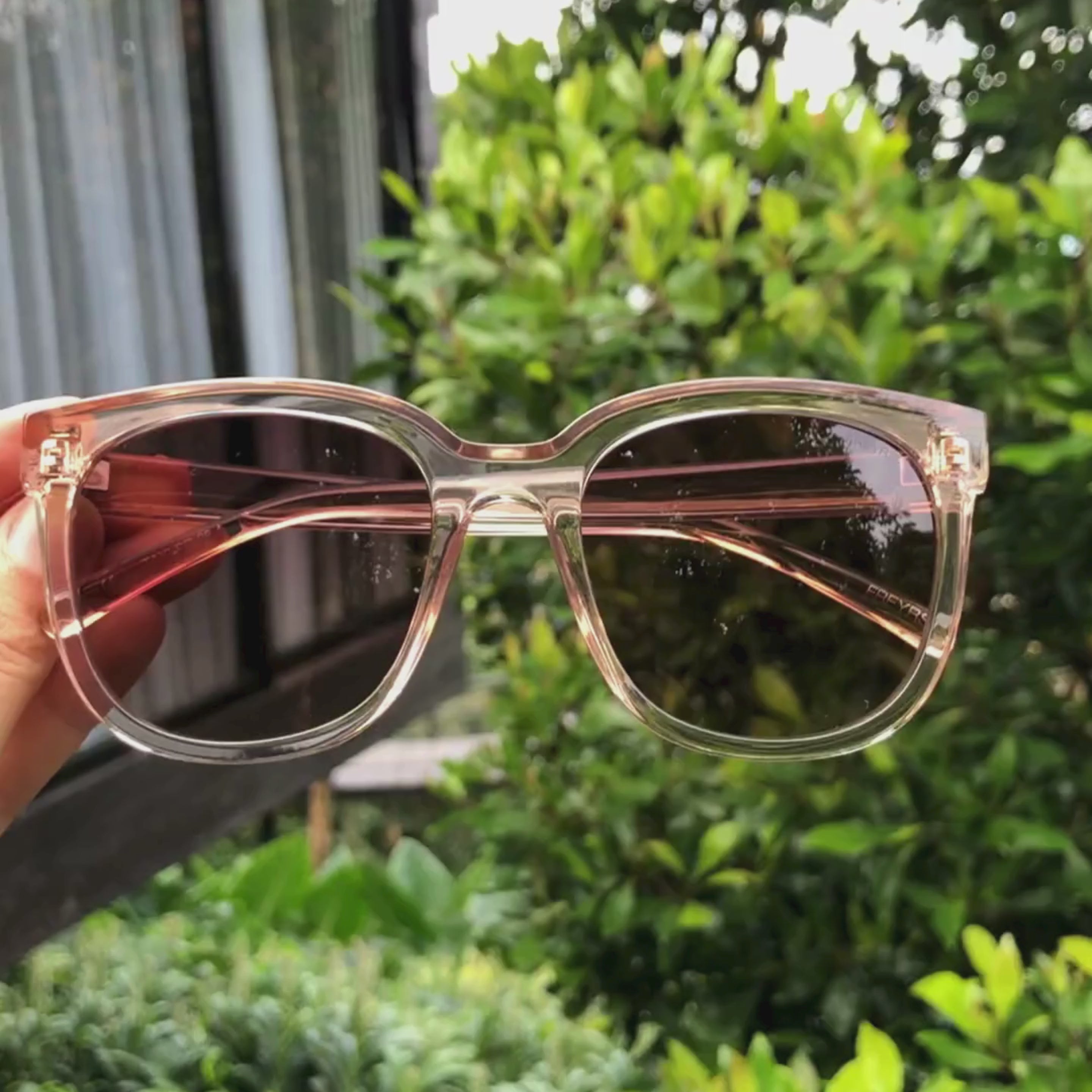 Freyers Eyewear – Taylor + Co. Clothing Cullman FREYRS