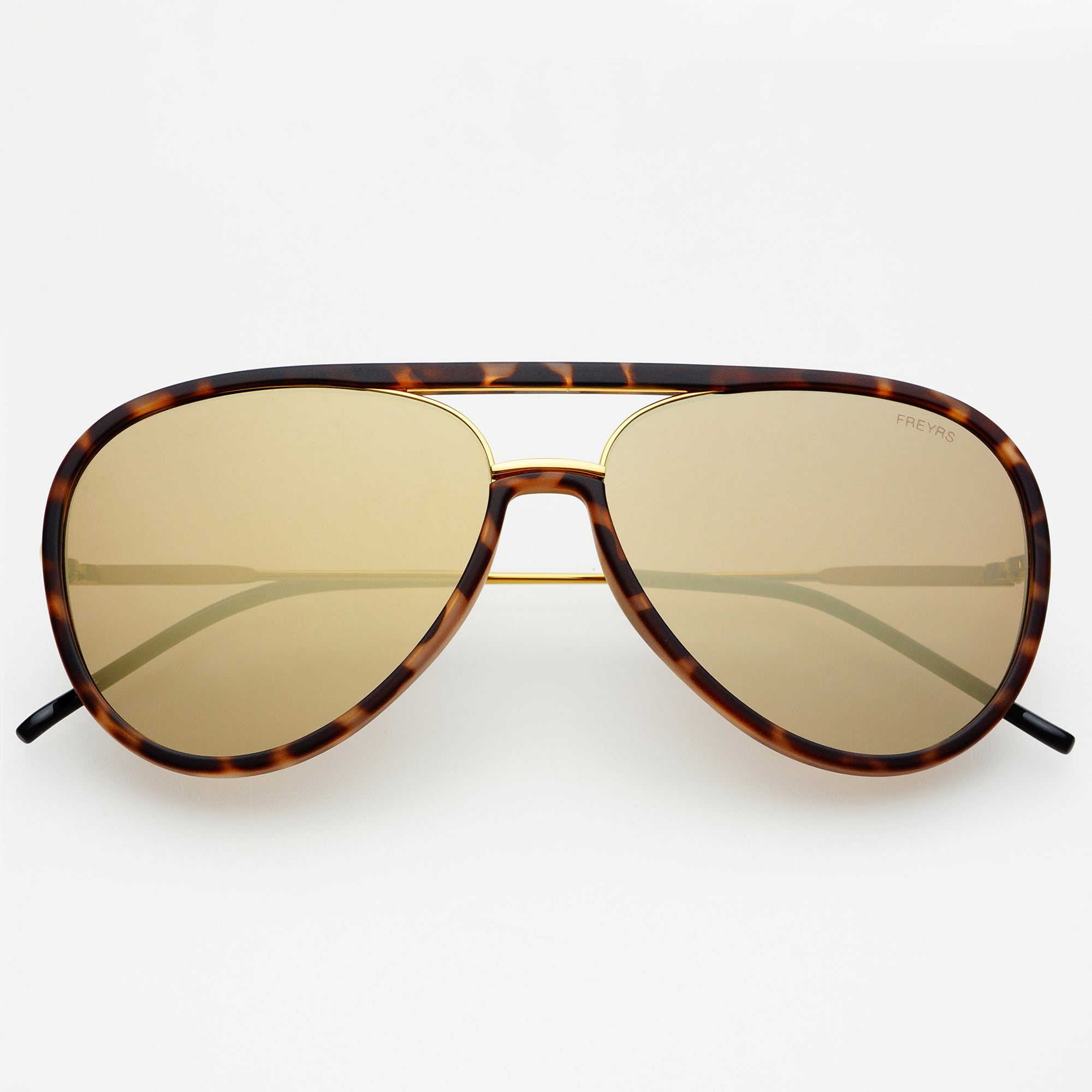 Tortoise aviators store